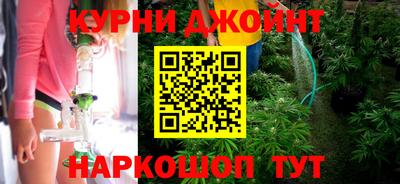 крисы Жуковский