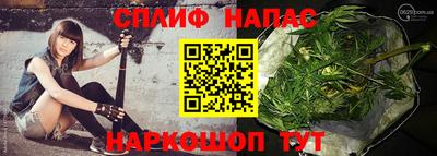 спиды Заводоуковск