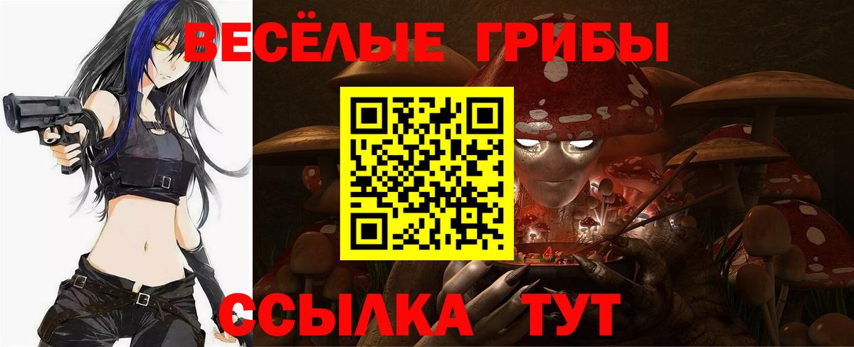 закладка  Вход с VPN  Балашов  Псилоцибиновые грибы Psilocybe 